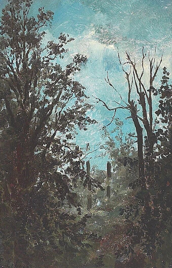 Al tramonto ai margini di un bosco